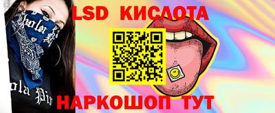 тгк Владимир