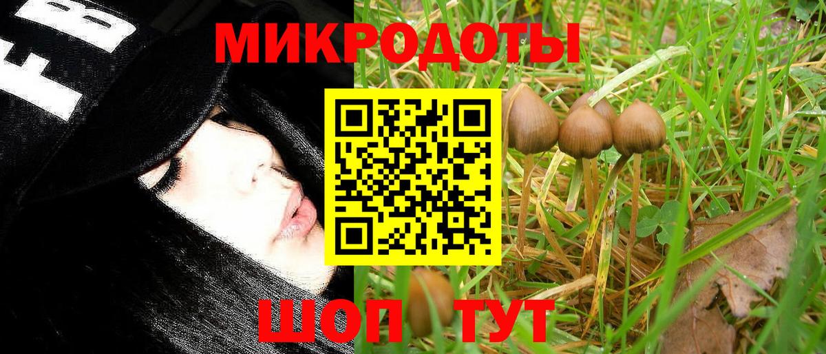 Псилоцибиновые грибы GOLDEN TEACHER  где купить наркотик  Галлюциногенные грибы MAGIC MUSHROOMS  Когалым  Вход с VPN 